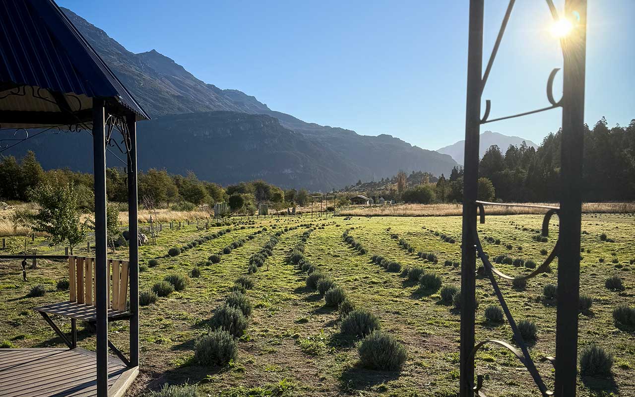 Cerro Cónico - Campo de Lavandas